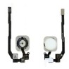 Flex Botón Home Para Iphone 5S / 5SE Blanco GENÉRICO